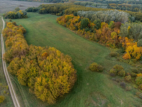 Autumn colors 4